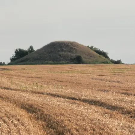 българа * Vetren (Silistra)