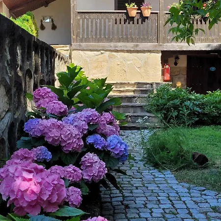 българа 3* Vetren (Silistra)