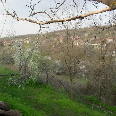 българа Penzion